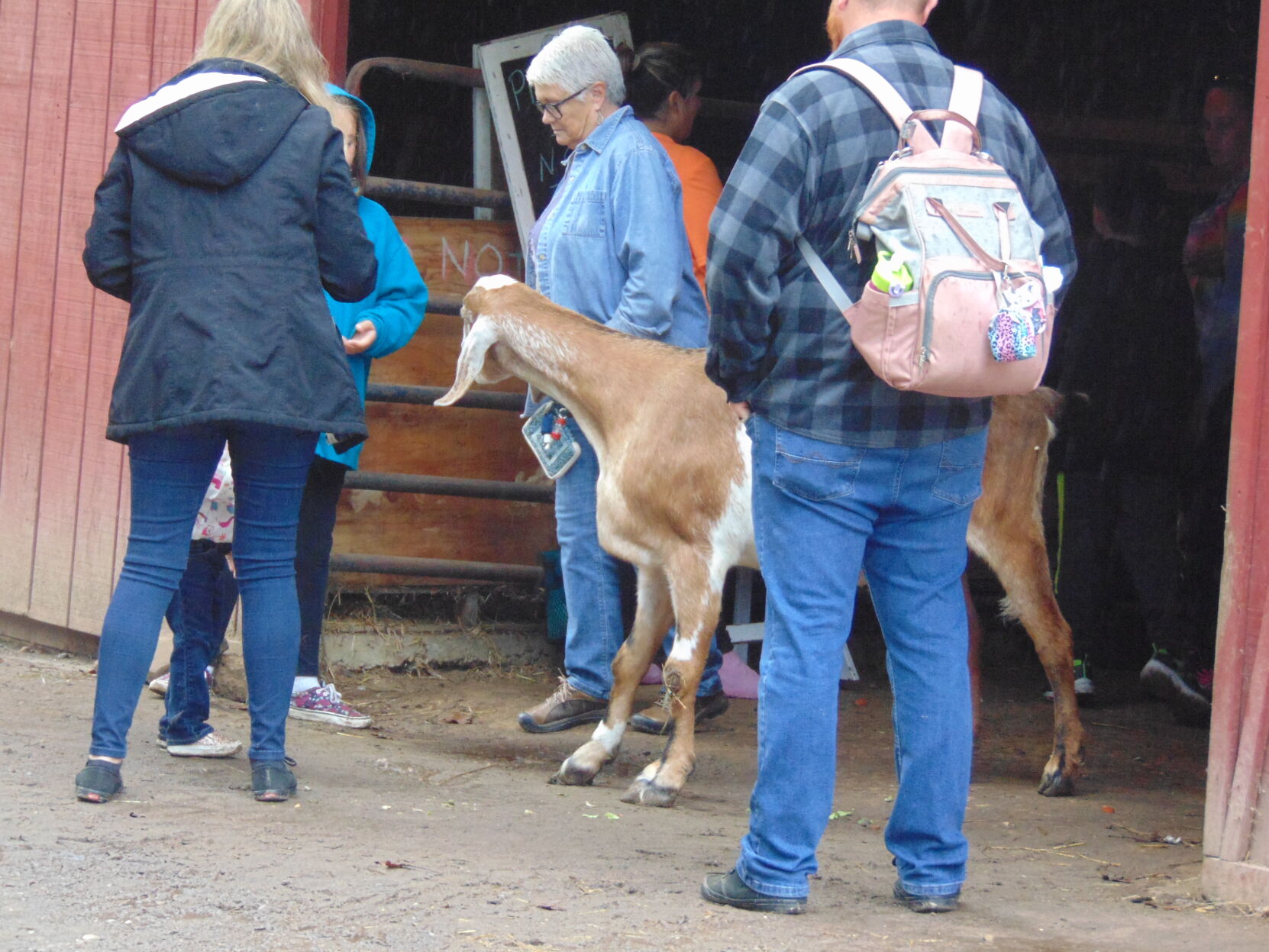 Farm gallery 21.JPG